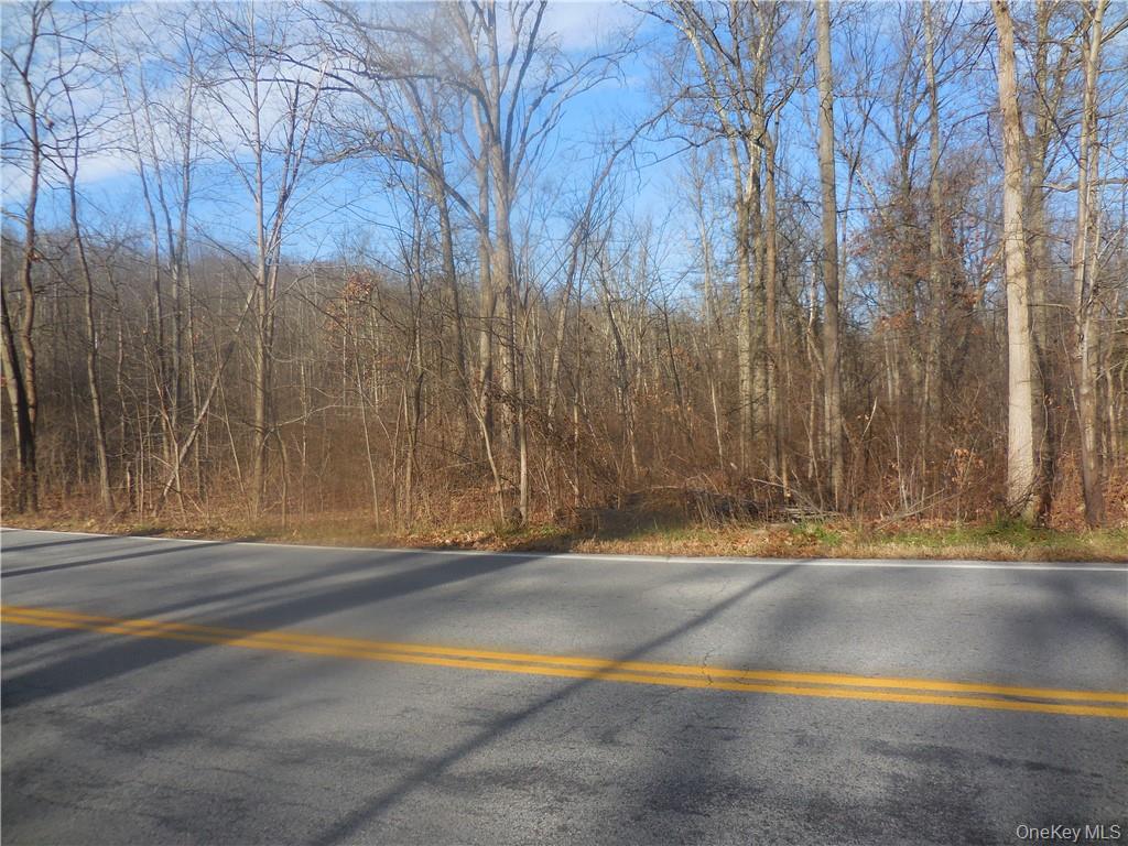 Lakeside Road – For Sale photo 29