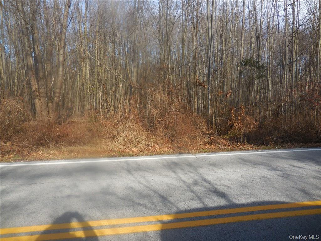 Lakeside Road – For Sale photo 23