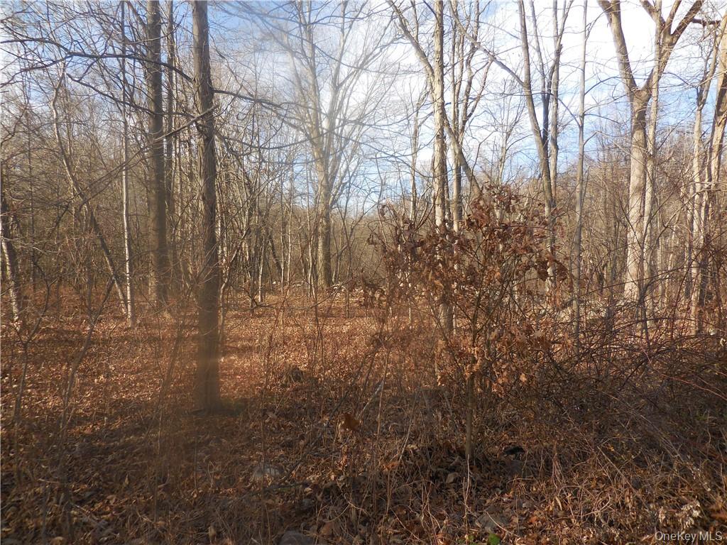 Lakeside Road – For Sale photo 19