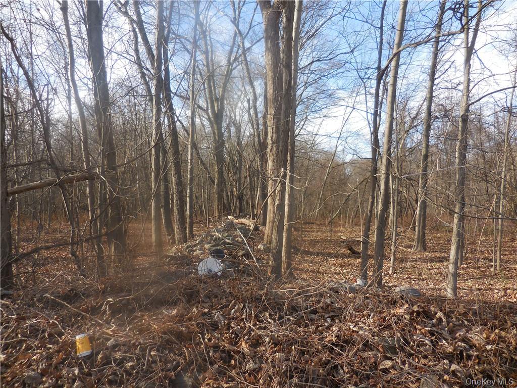 Lakeside Road – For Sale photo 21
