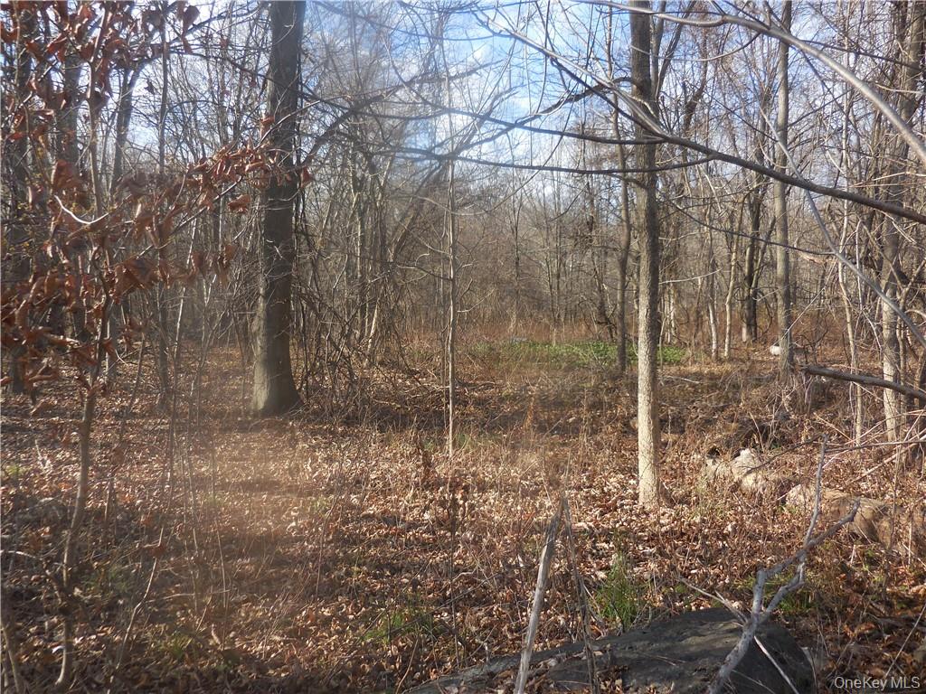Lakeside Road – For Sale photo 13