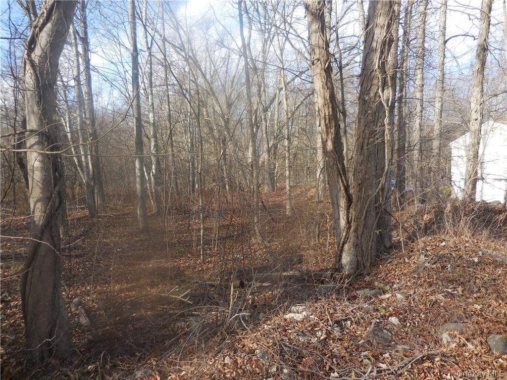 Lakeside Road – For Sale photo 15