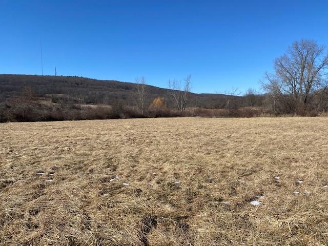 243 Vineyard Avenue – For Sale photo 4