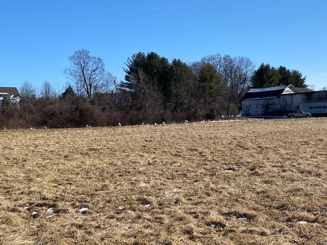 243 Vineyard Avenue – For Sale photo 10