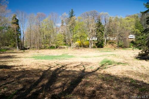 182 Tuxedo Road – For Sale photo 2
