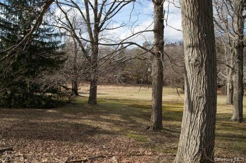 182 Tuxedo Road – For Sale photo 5