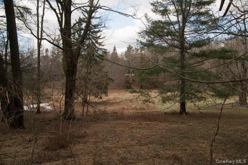 182 Tuxedo Road – For Sale photo 6