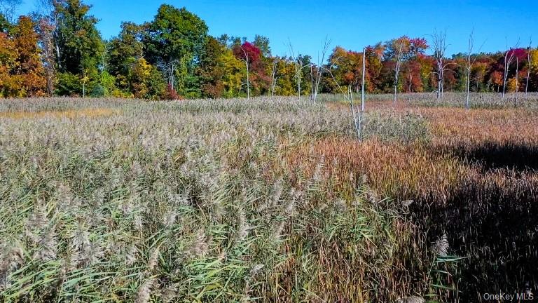 225 Route 22 – For Sale photo 7