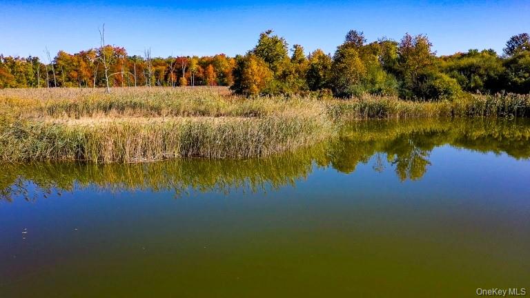 225 Route 22 – For Sale photo 6