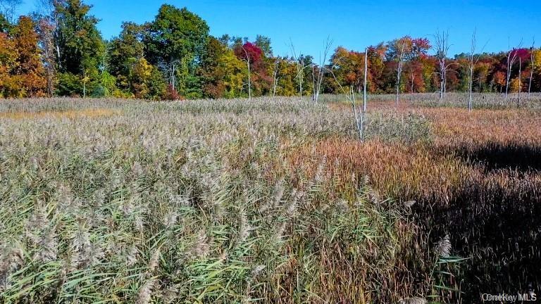 225 Route 22 – For Sale photo 7