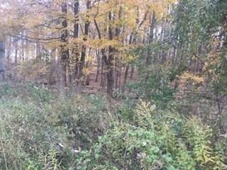 2452 Route 52 – For Sale photo 5