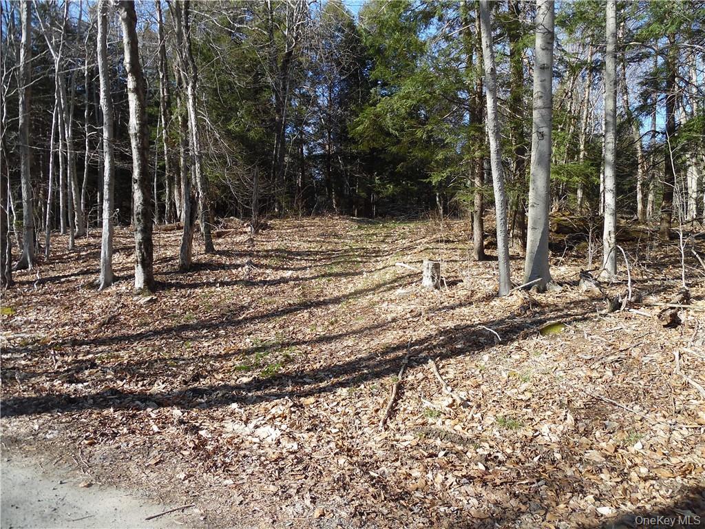 183 Revonah Hill Road – For Sale photo 3