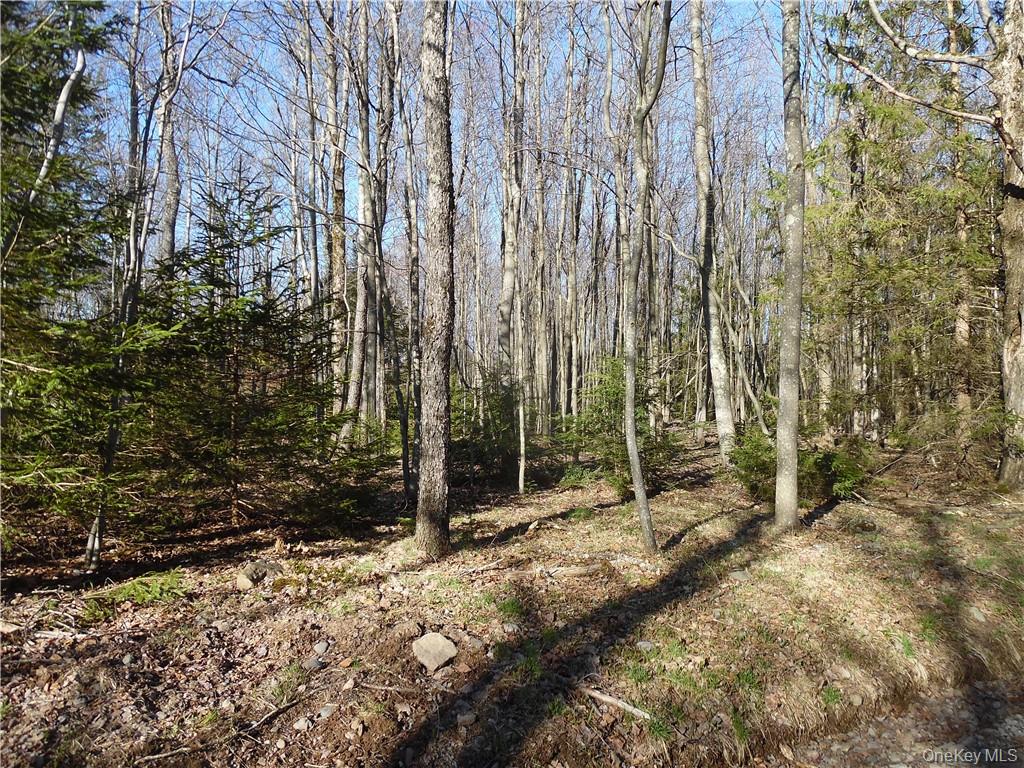 183 Revonah Hill Road – For Sale photo 6