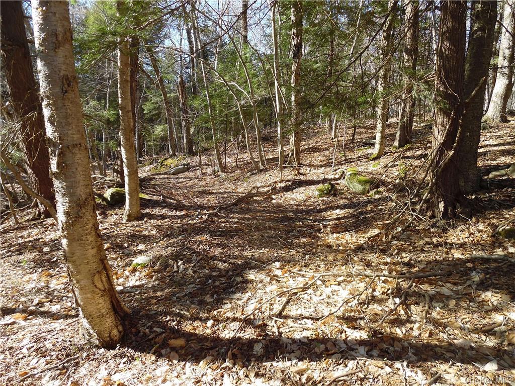 183 Revonah Hill Road – For Sale photo 4