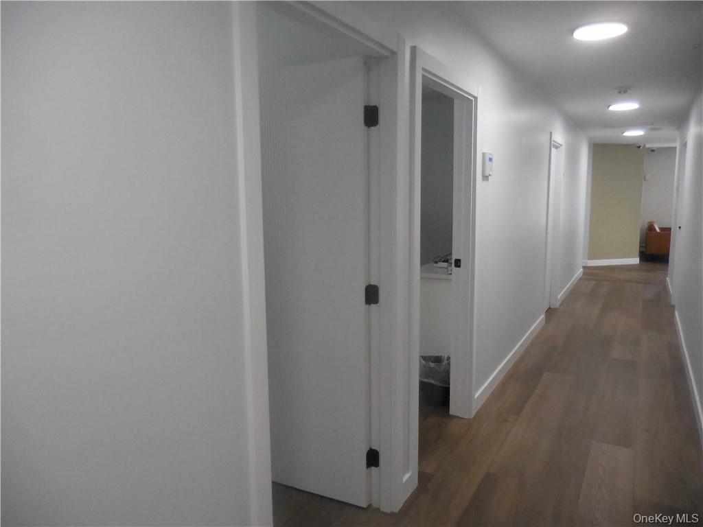 456 Gidney Avenue, Unit Back unit photo 12