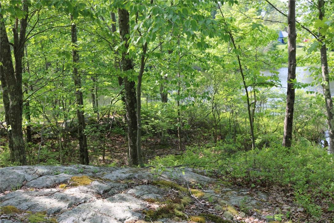 Gipsy Trail Road – For Sale photo 8