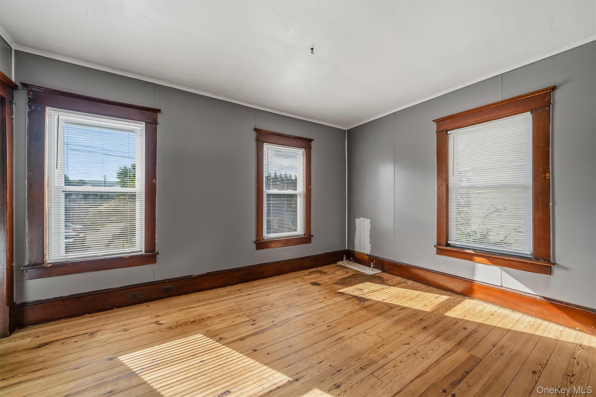 32 Kingston Avenue – For Sale photo 27