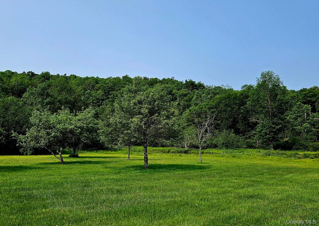 141 Bonnie Brook Road – For Sale photo 48