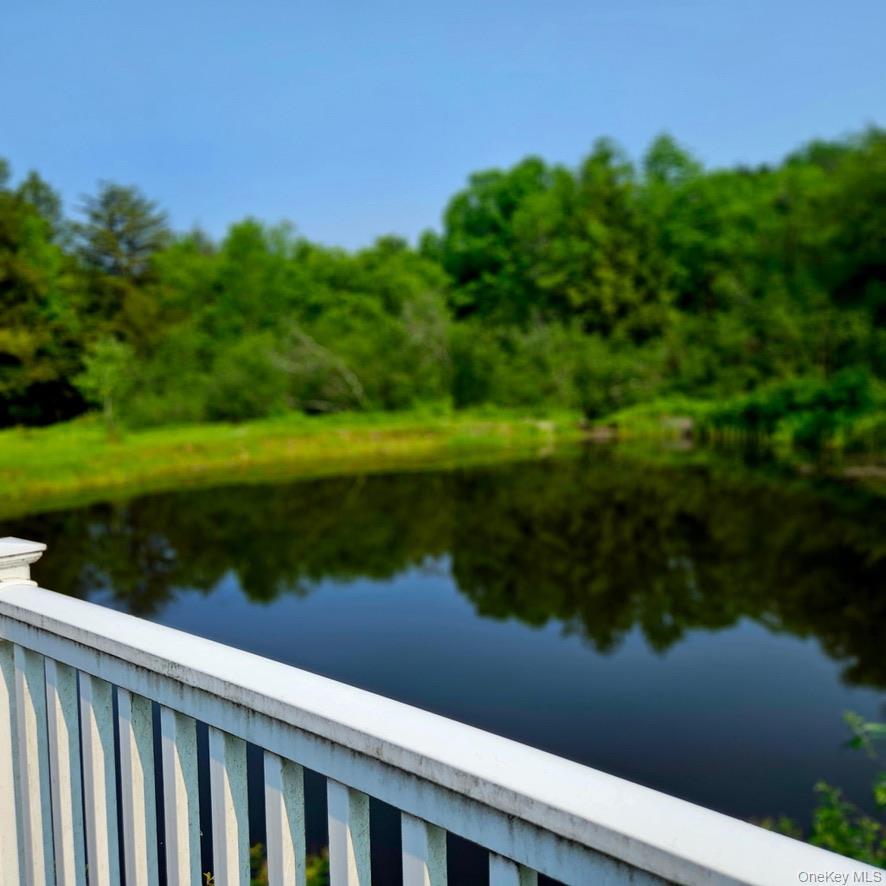 141 Bonnie Brook Road – For Sale photo 49