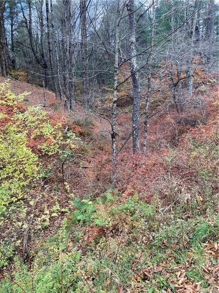 Plank Road – For Sale photo 35