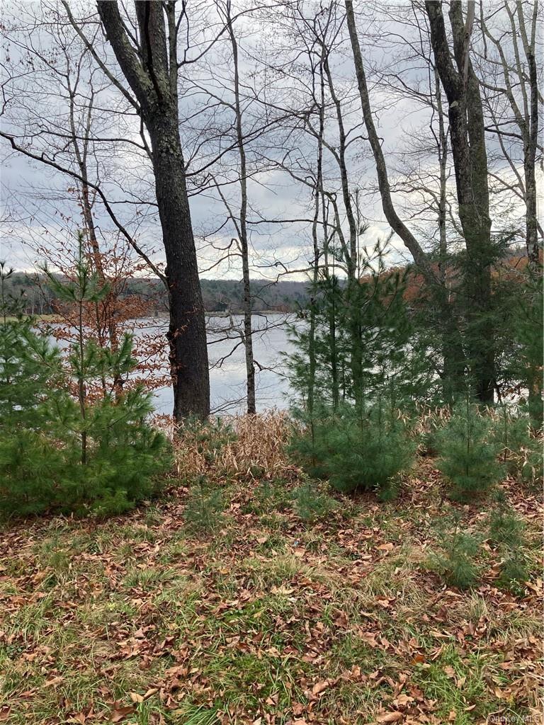 Plank Road – For Sale photo 33