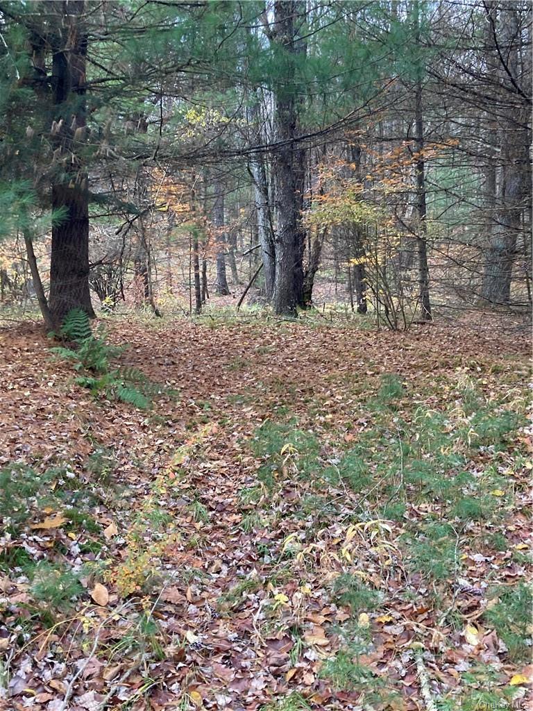Plank Road – For Sale photo 30