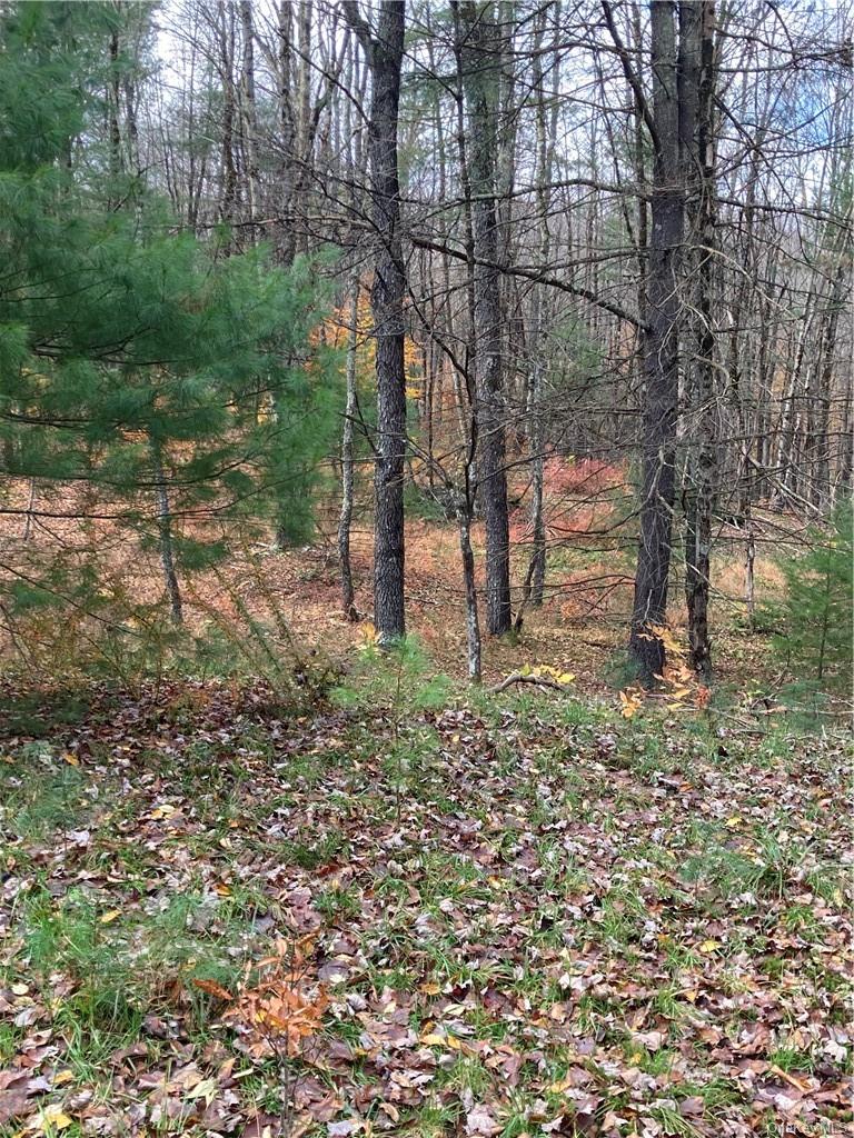 Plank Road – For Sale photo 39