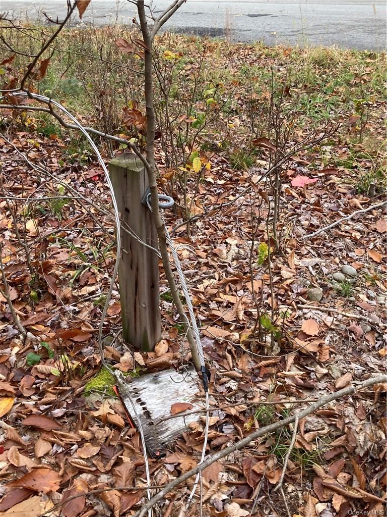 Plank Road – For Sale photo 9