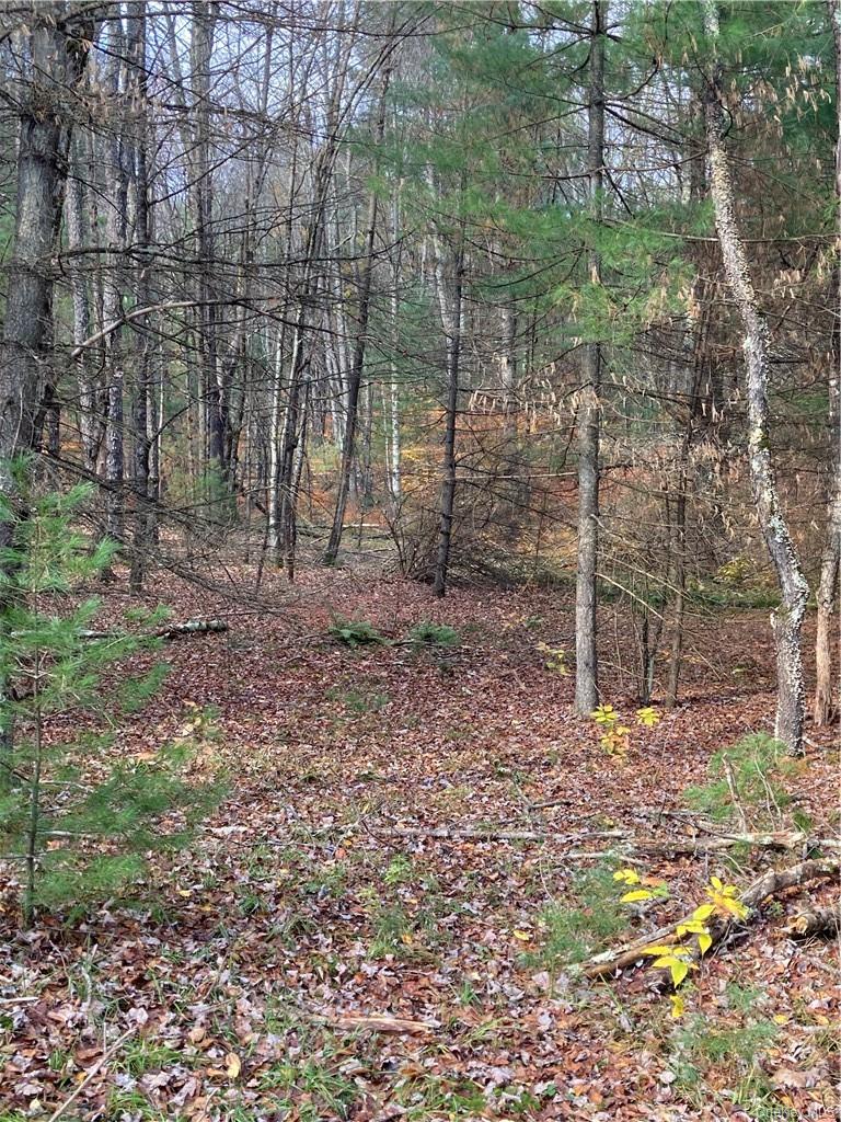 Plank Road – For Sale photo 12