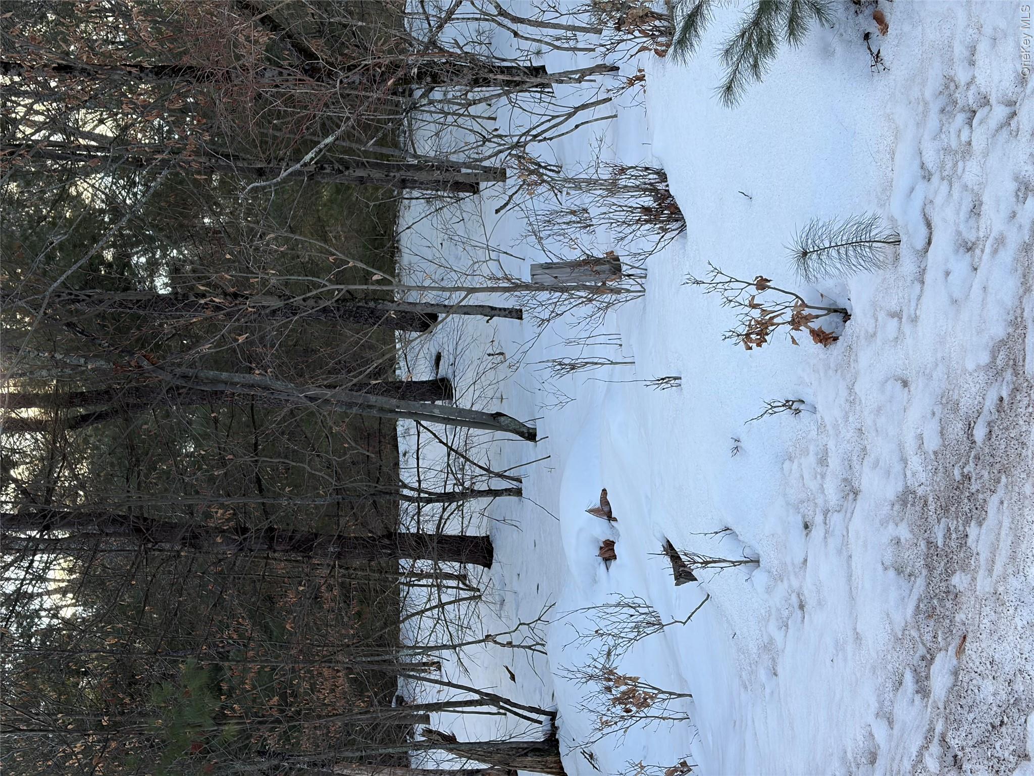 Plank Road – For Sale photo 3