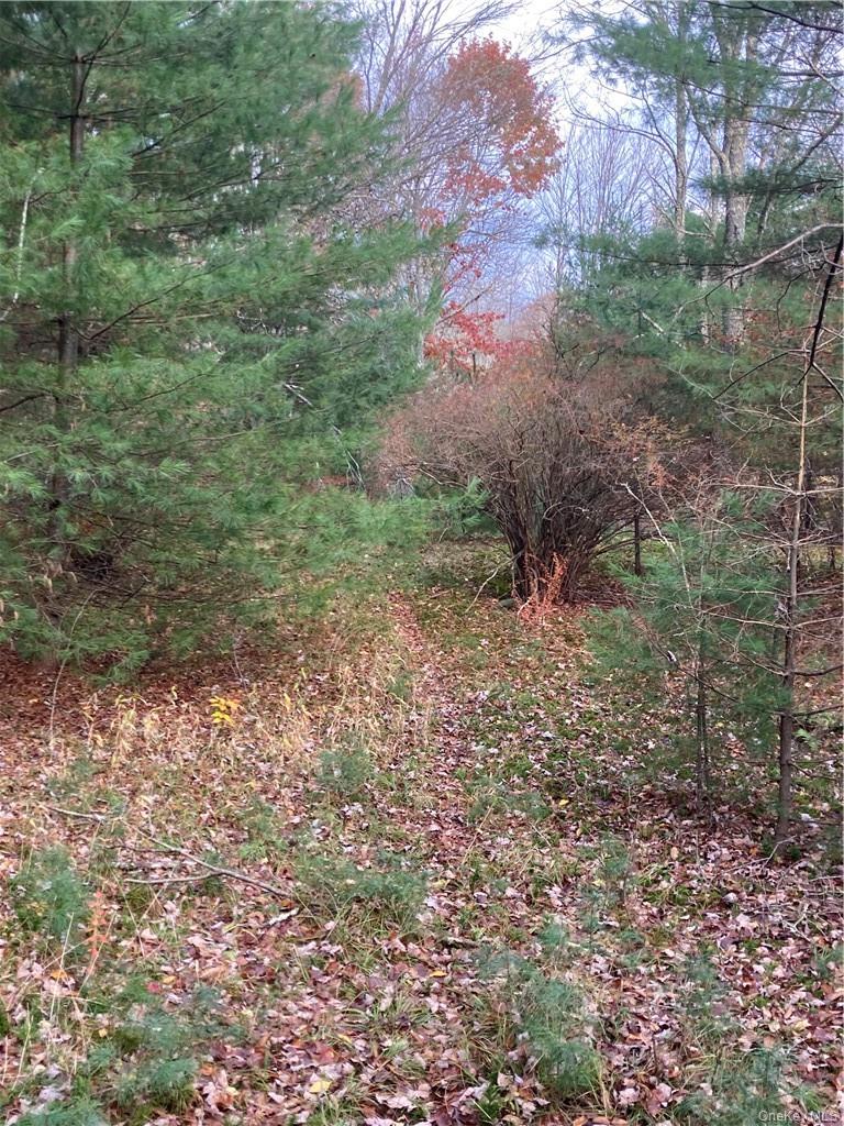 Plank Road – For Sale photo 13