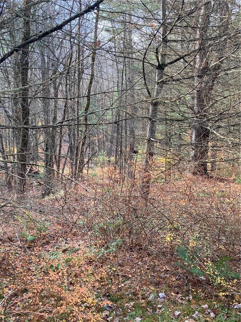 Plank Road – For Sale photo 20