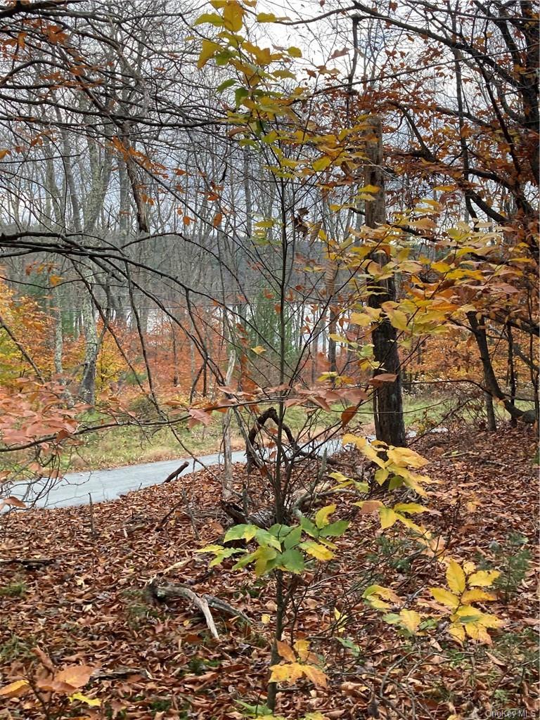 Plank Road – For Sale photo 27