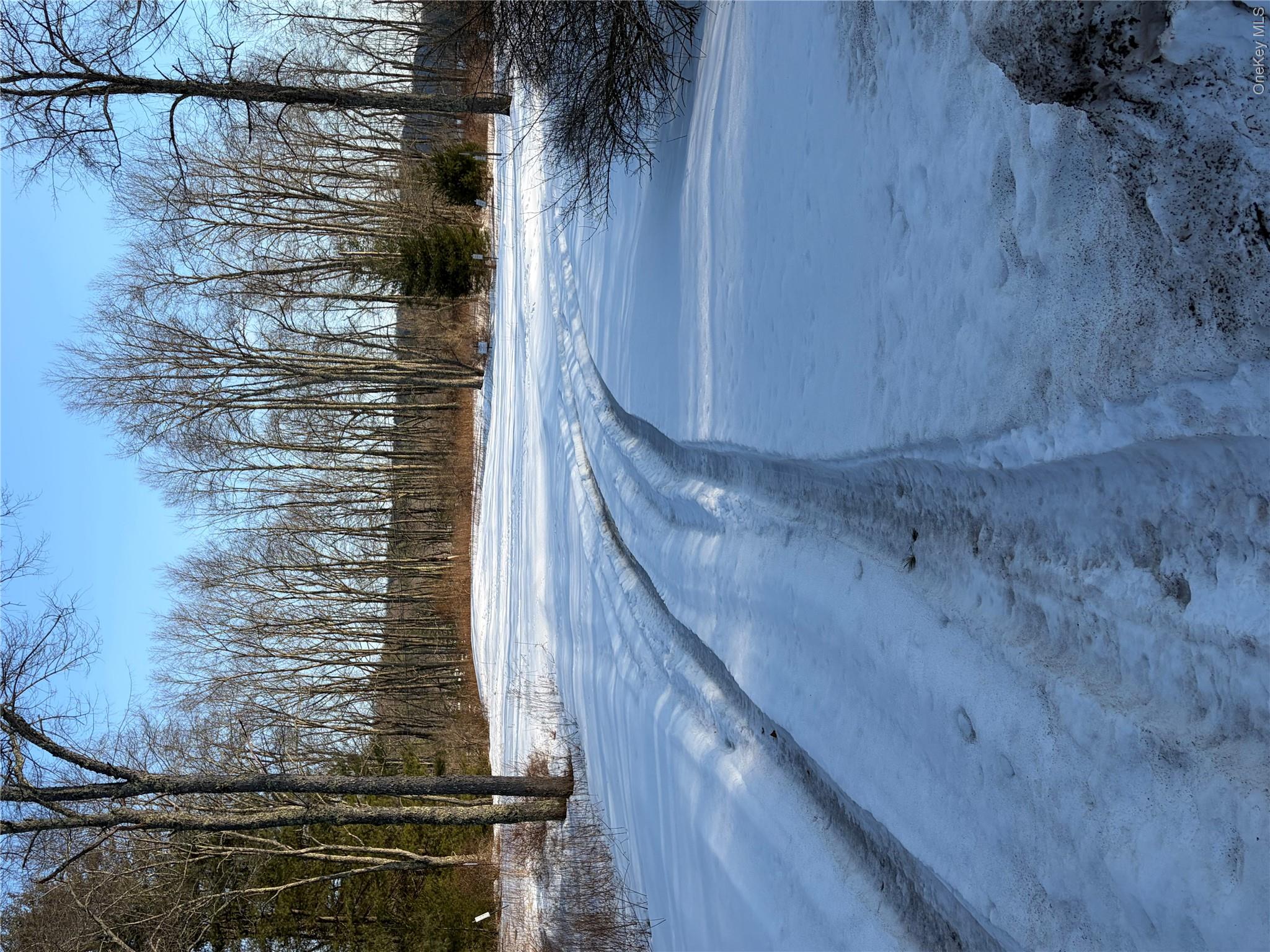 Plank Road – For Sale photo 23