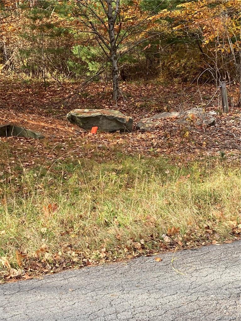 Plank Road – For Sale photo 8