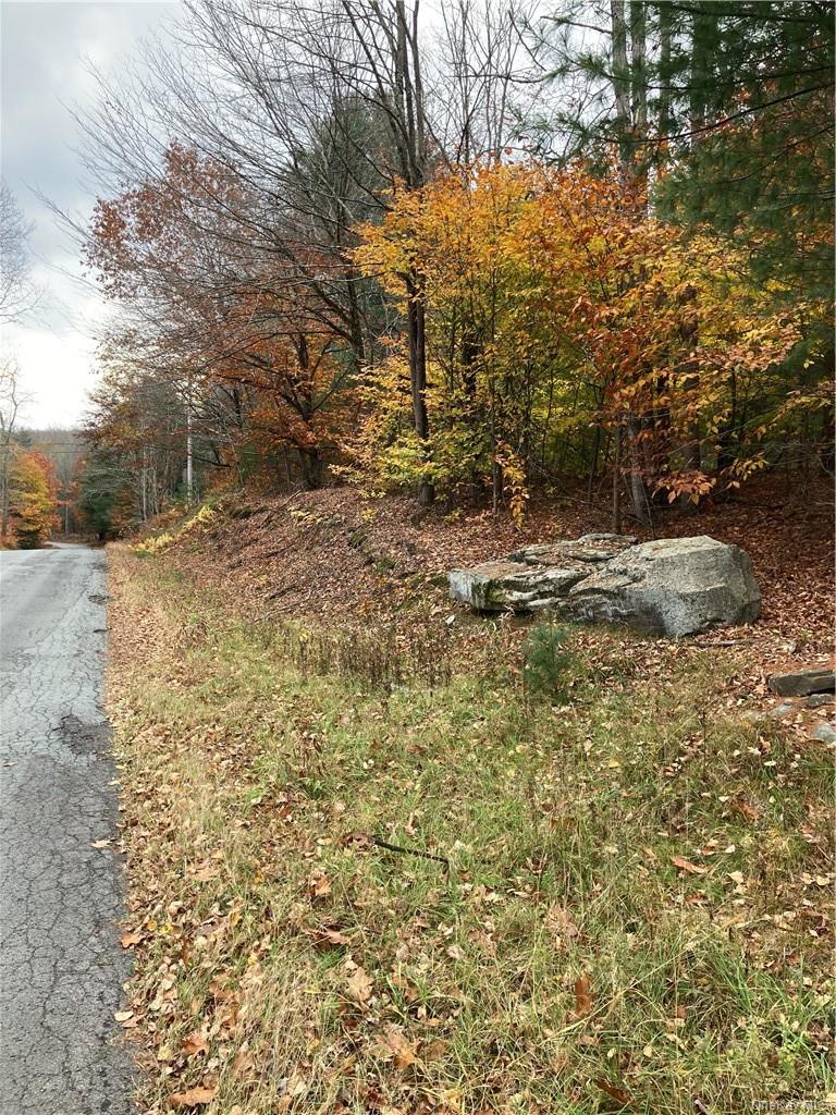 Plank Road – For Sale photo 37