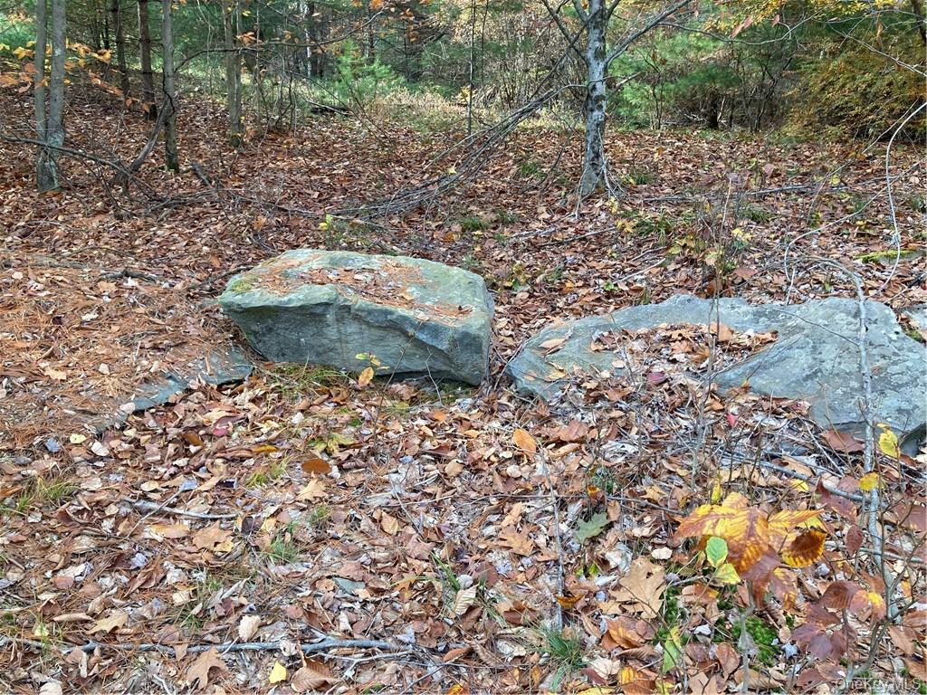 Plank Road – For Sale photo 5