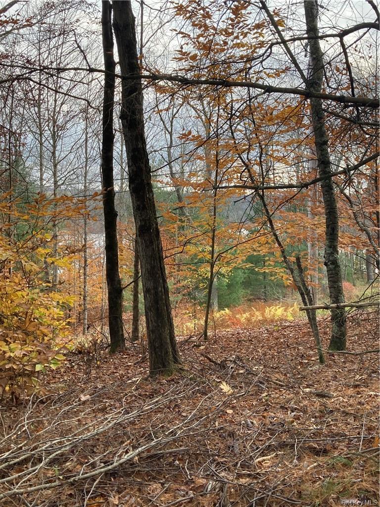 Plank Road – For Sale