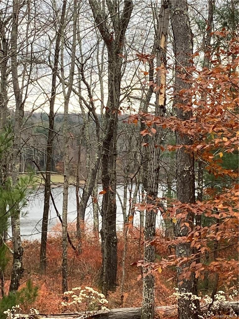 Plank Road – For Sale photo 36