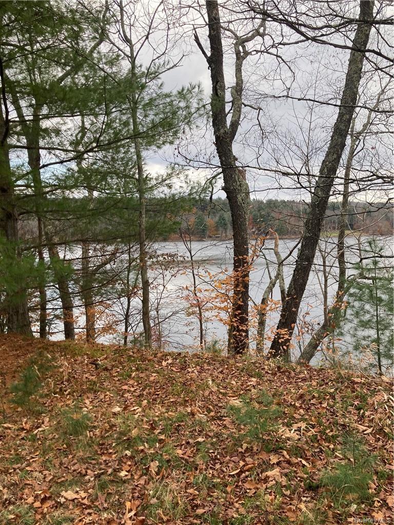 Plank Road – For Sale photo 4