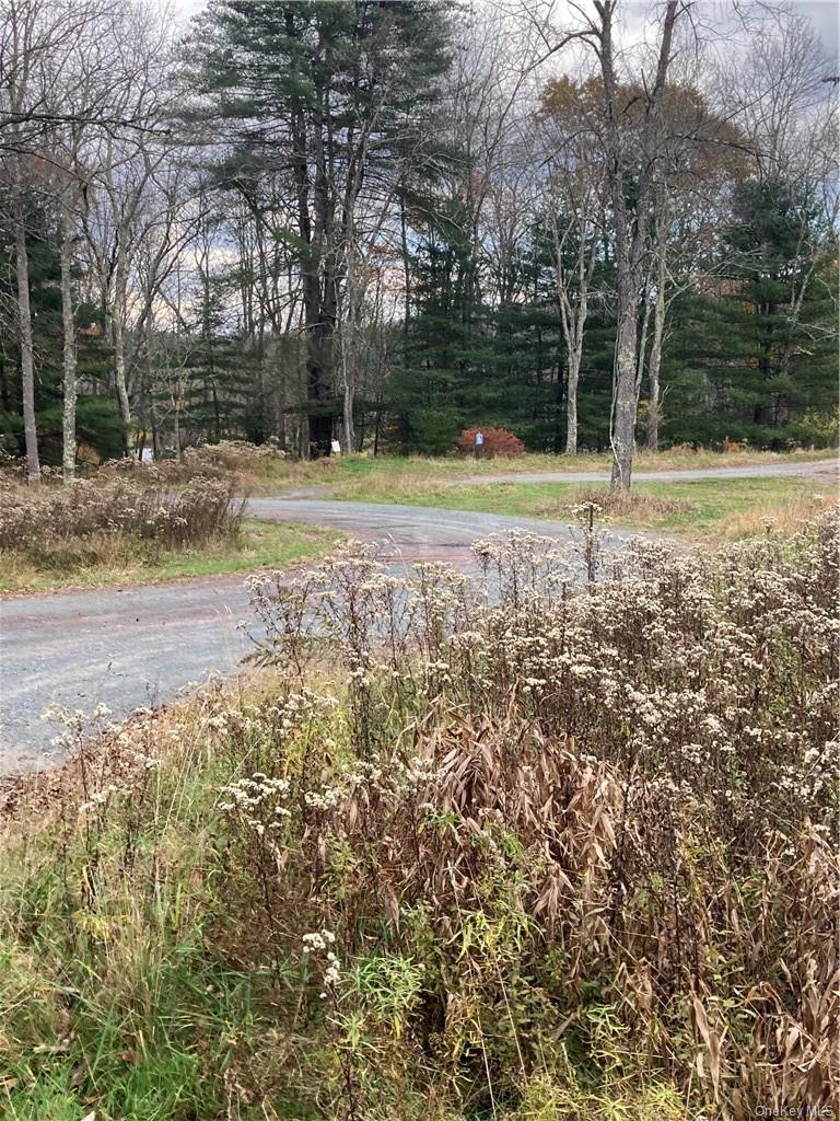 Plank Road – For Sale photo 31