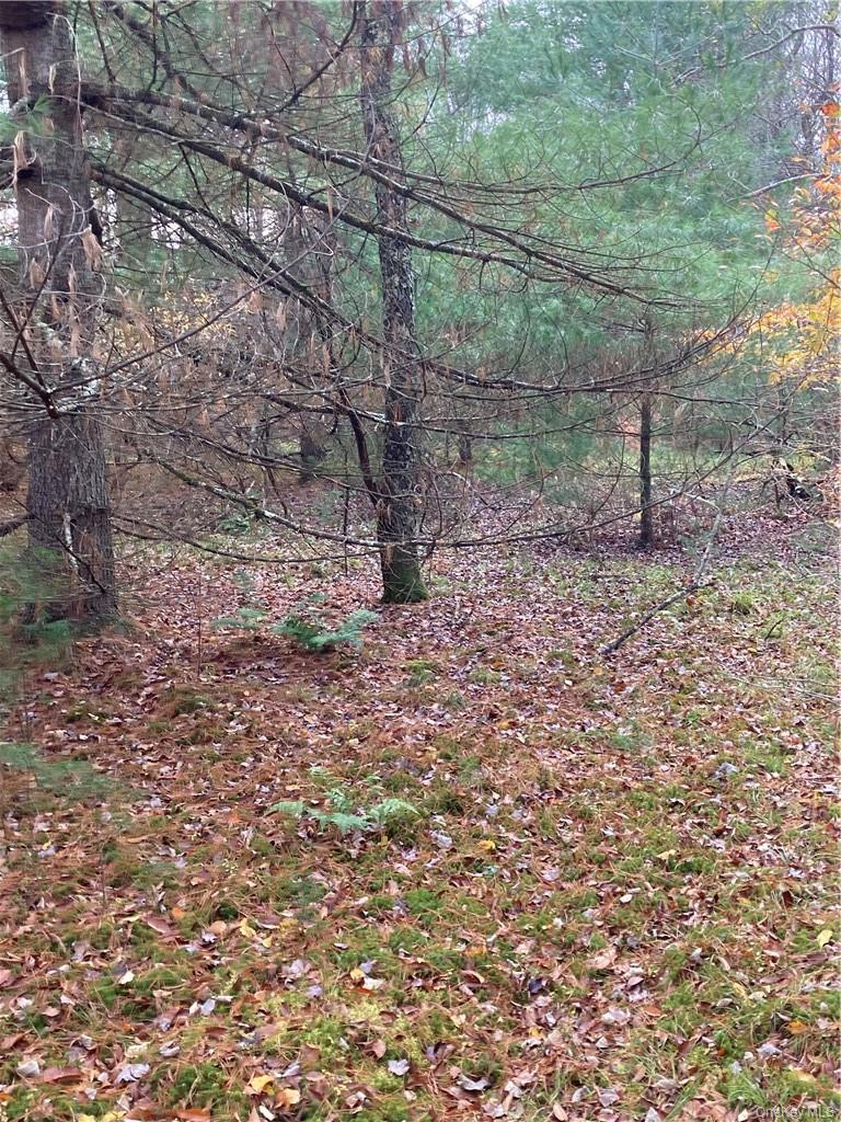 Plank Road – For Sale photo 28