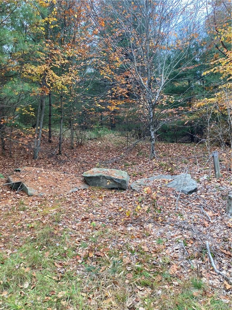Plank Road – For Sale photo 38