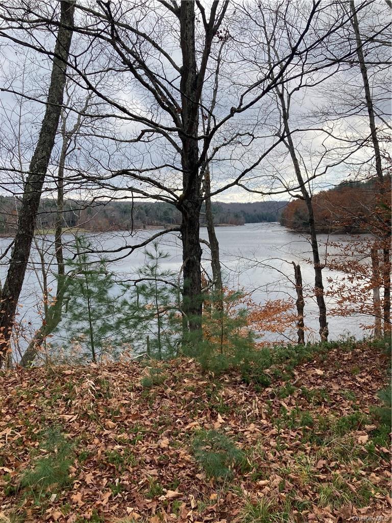 Plank Road – For Sale photo 32