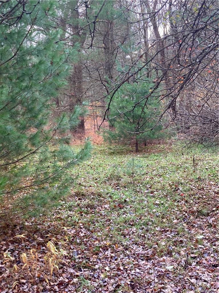 Plank Road – For Sale photo 24