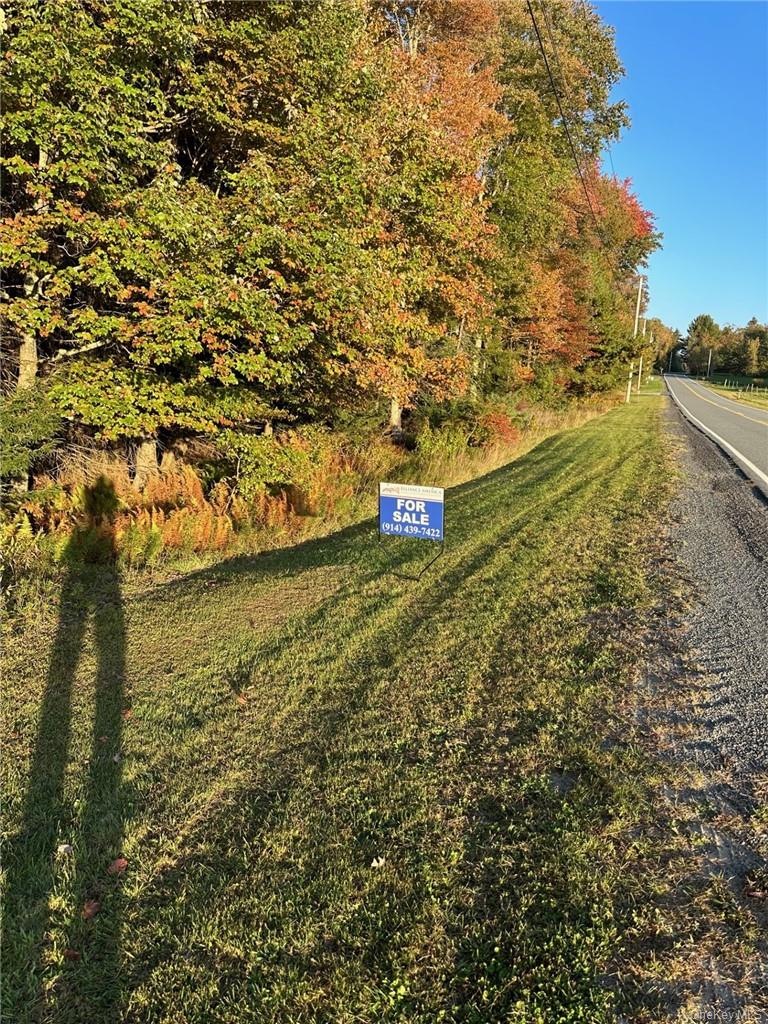Ulster Heights Road – For Sale photo 5