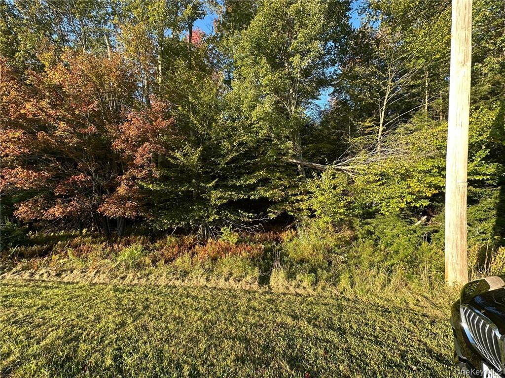 Ulster Heights Road – For Sale photo 3