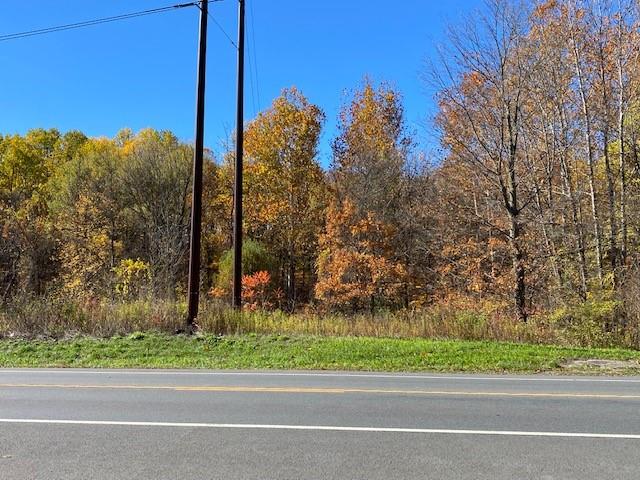 TBD Route 9W – For Sale photo 2