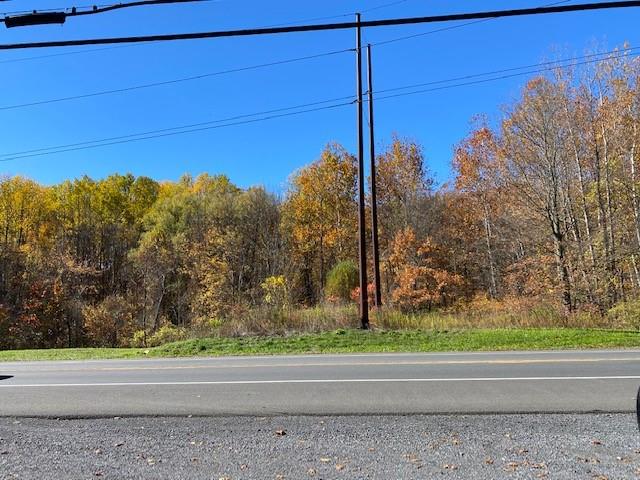 TBD Route 9W – For Sale photo 8