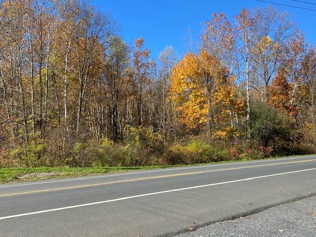 TBD Route 9W – For Sale